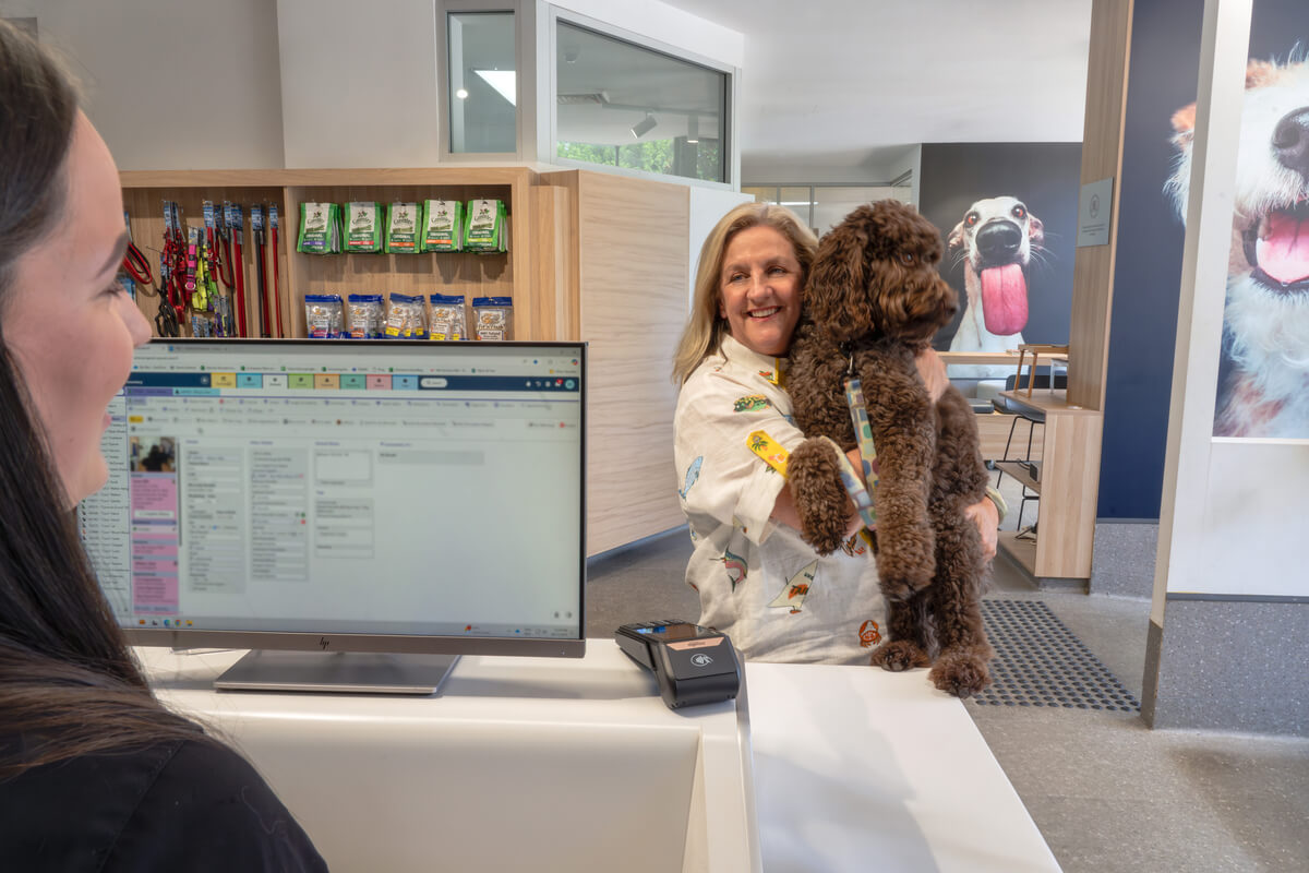 Pet parent paying for their dog's appointment on a Tyro Health EFTPOS at a vet clinic